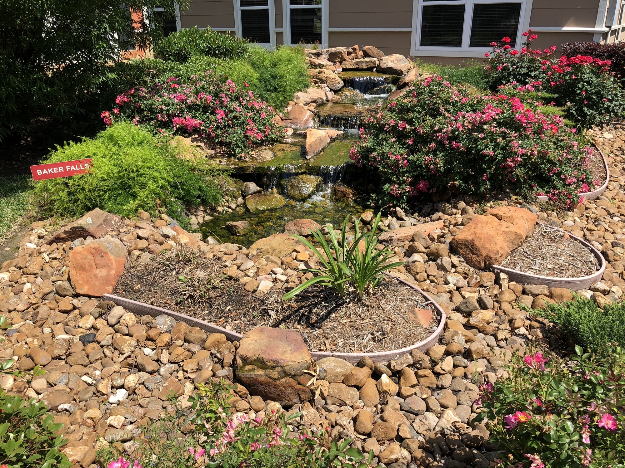 Baker Falls rock waterfall and rose garden between office buildings at Pin Oak Park
